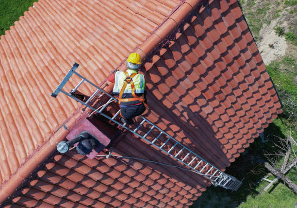 Best Rubber Roofing (EPDM, TPO)  in Palmyra, MO